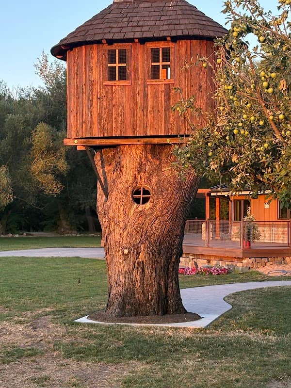 Freedom Park - Image 1