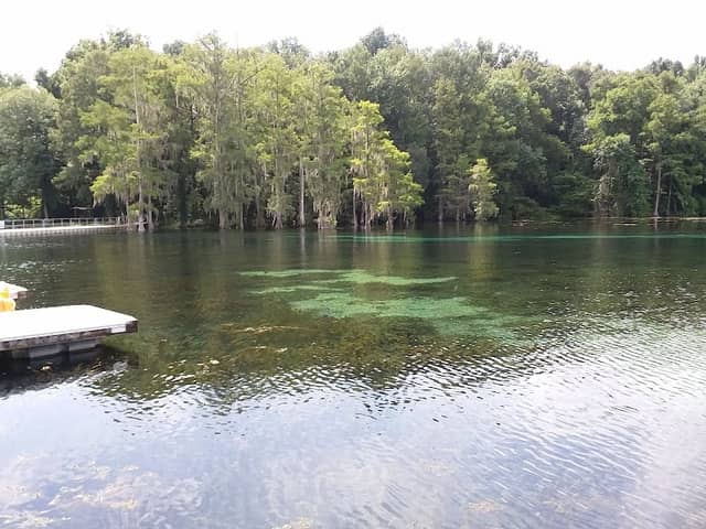 Jackson Blue Springs - Image 2