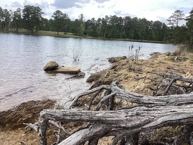 J. Strom Thurmond Reservoir - Image 2
