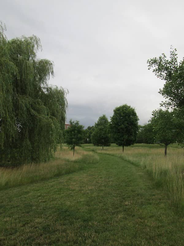 Marsh Meadow - Image 1