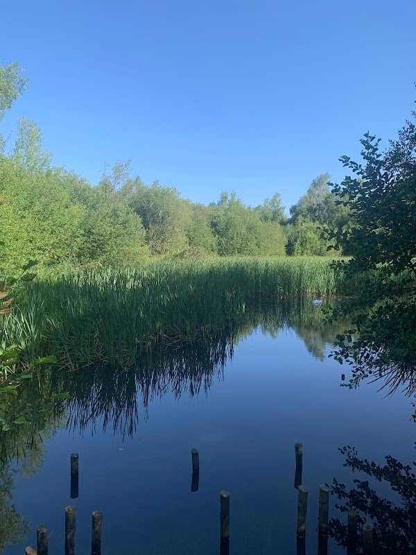 Nutbrook Pond - Image 1