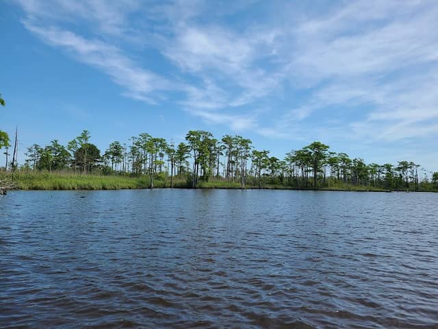 North River Game Land - Image 2