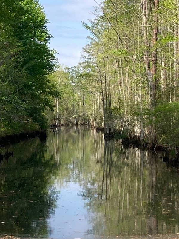 North River Game Land - Image 1