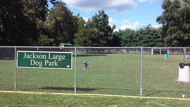 Park for Big Dogs@ Jackson Park - Image 1