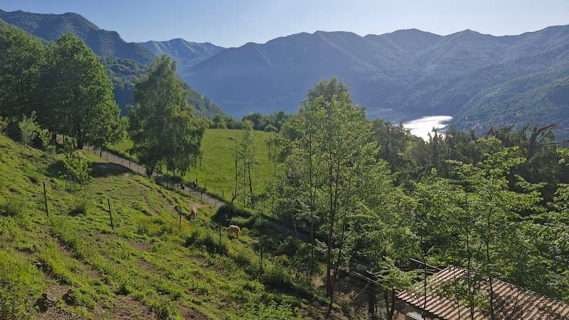 Monte di Lenno - Image 1
