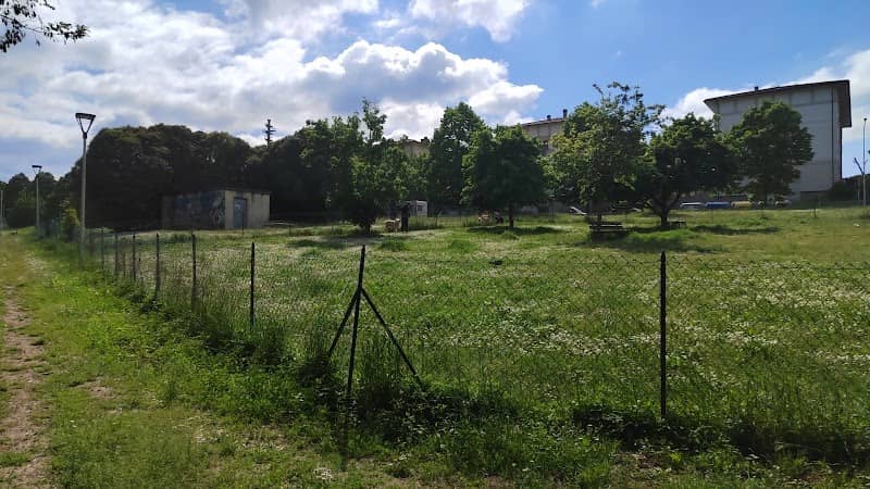 Area Cani - Image 1