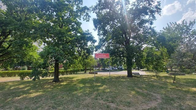 Pomnik przyrody Dęby harcerzy Szarych Szeregów - Image 2