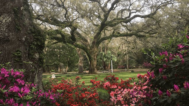 Eden Gardens State Park - Image 1