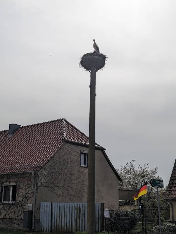Zentrales Storchennest - Image 1