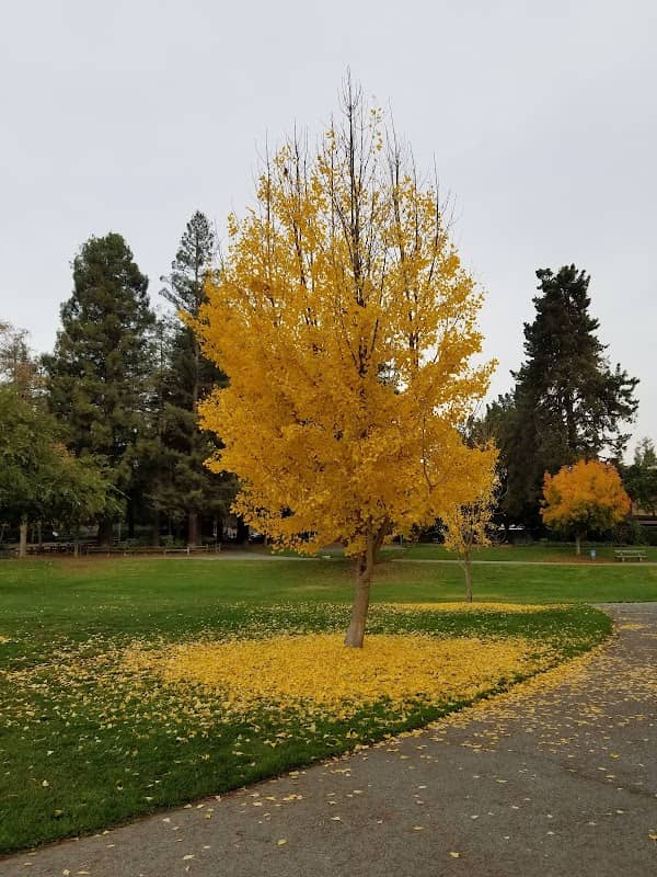 Cuesta Park - Image 3