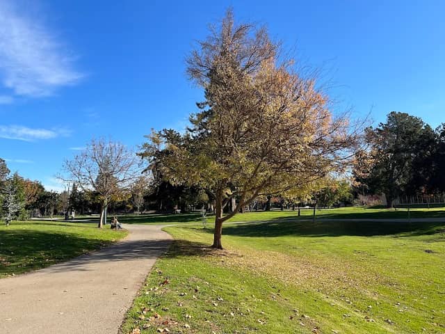 Cuesta Park - Image 1