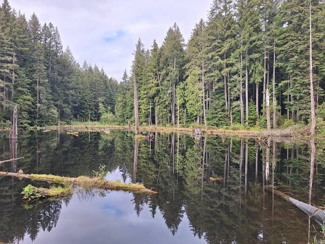 Redmond Watershed Preserve - Image 1