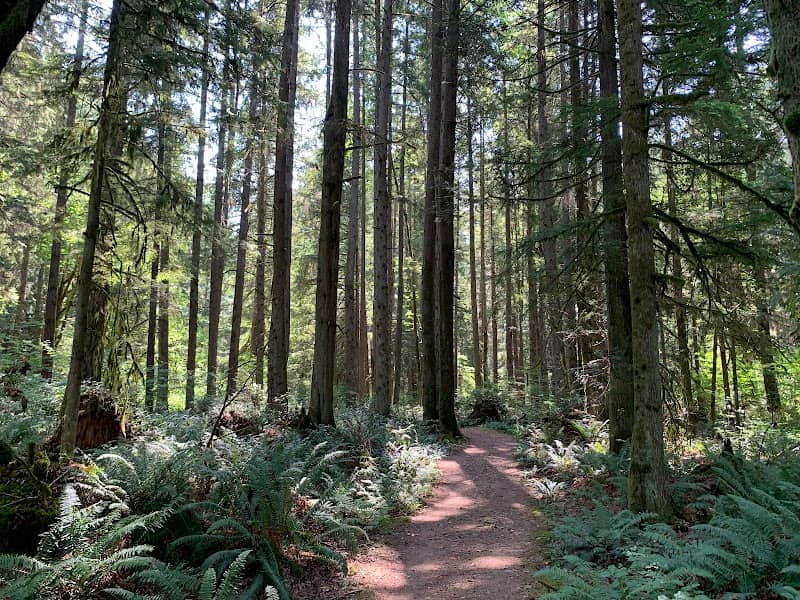 Redmond Watershed Preserve - Image 2
