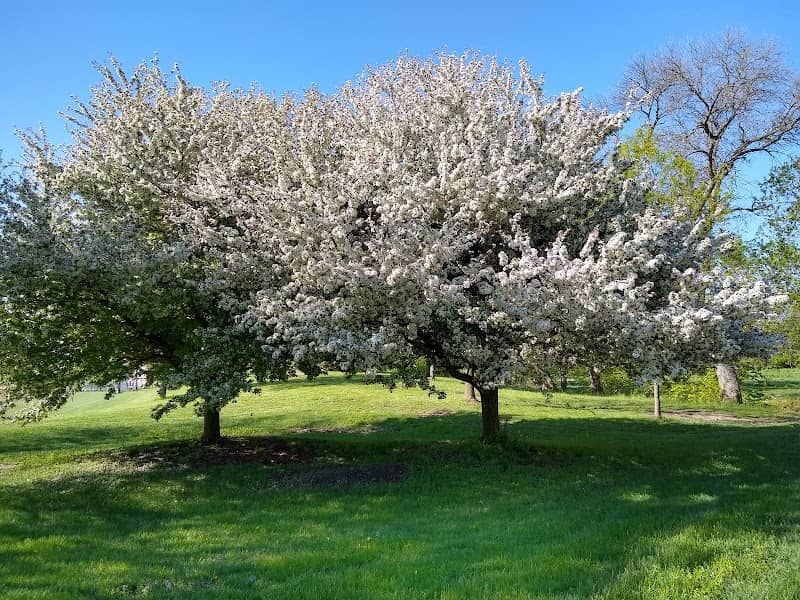 Central Park - Image 1