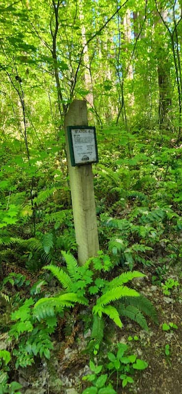 Rose County Park - Image 2