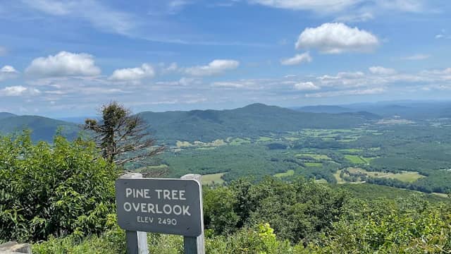 Pine Tree Overlook - Image 1