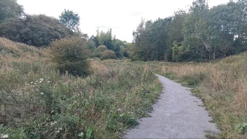 Merlin Way Trail - Image 1