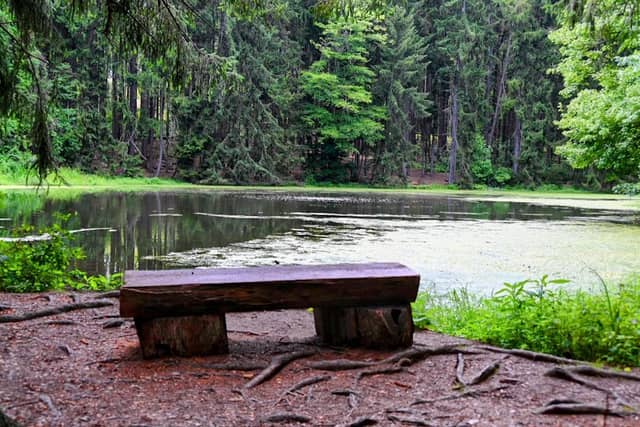 I.S. and Gertrude Sahli Nature Park - Image 2