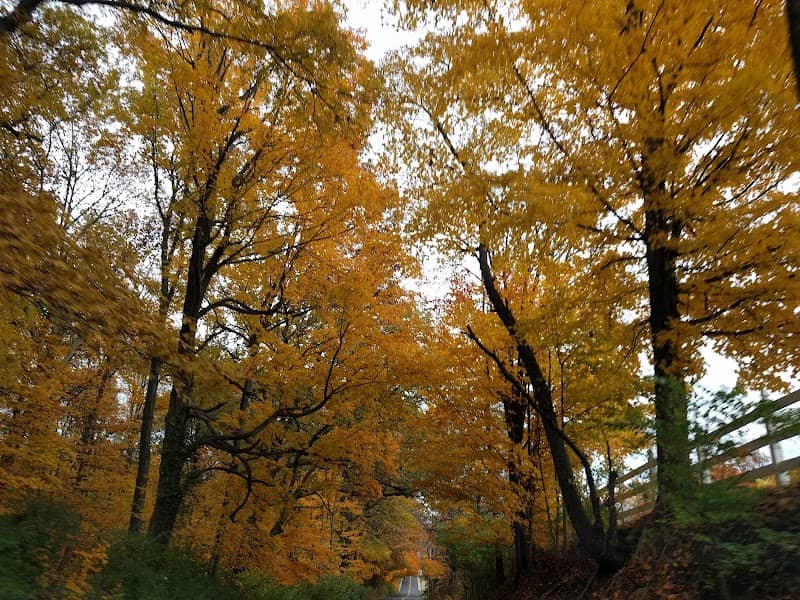 Gravity Hill - Image 1