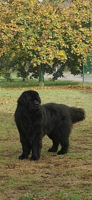 Parco giochi - Image 1