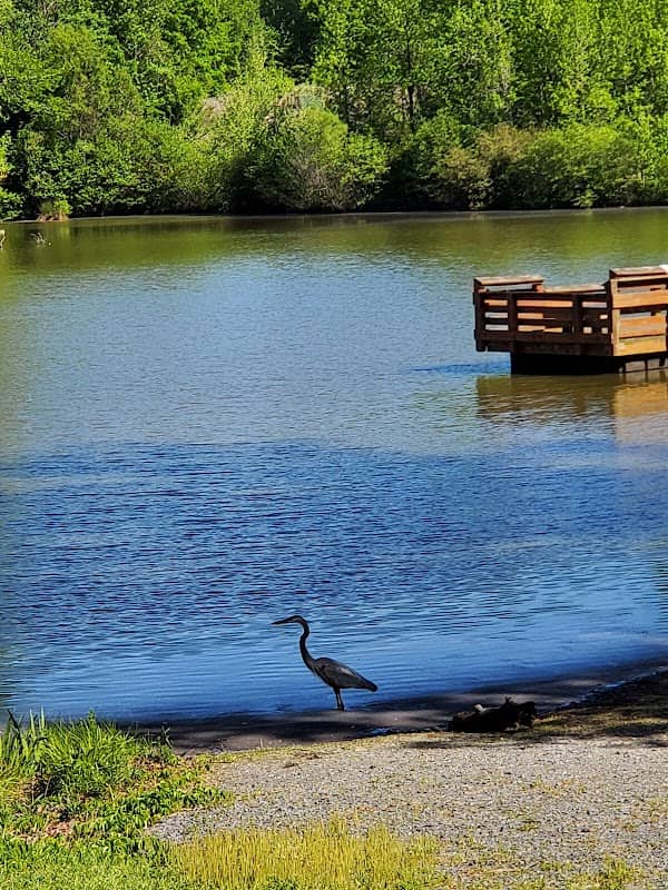 Fishing: Village Point Greenway - Image 1
