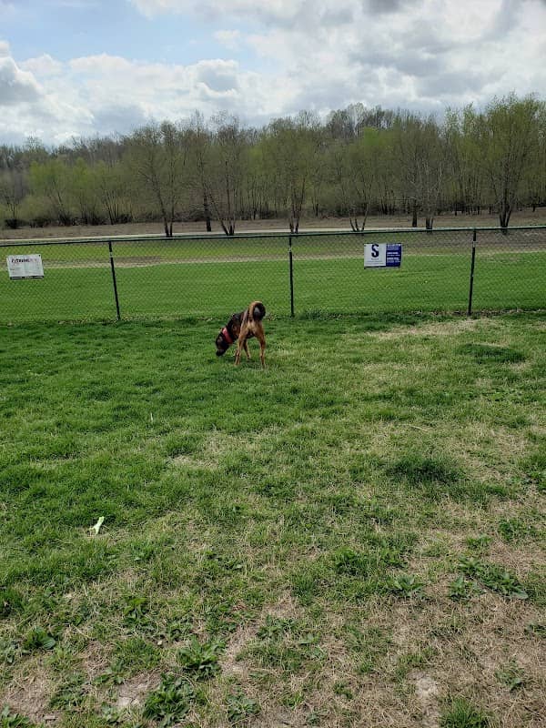 Riverside Dog Park - Image 1