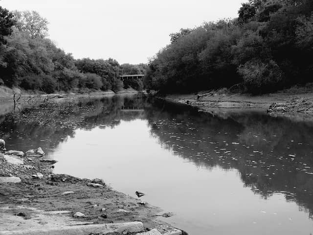 Riverside Dog Park - Image 2