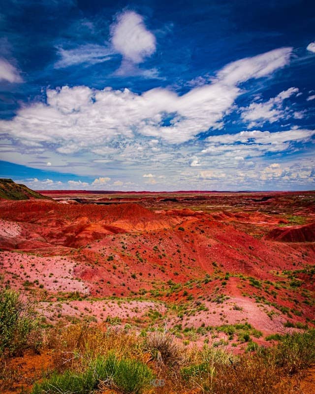 Painted Desert - Image 1