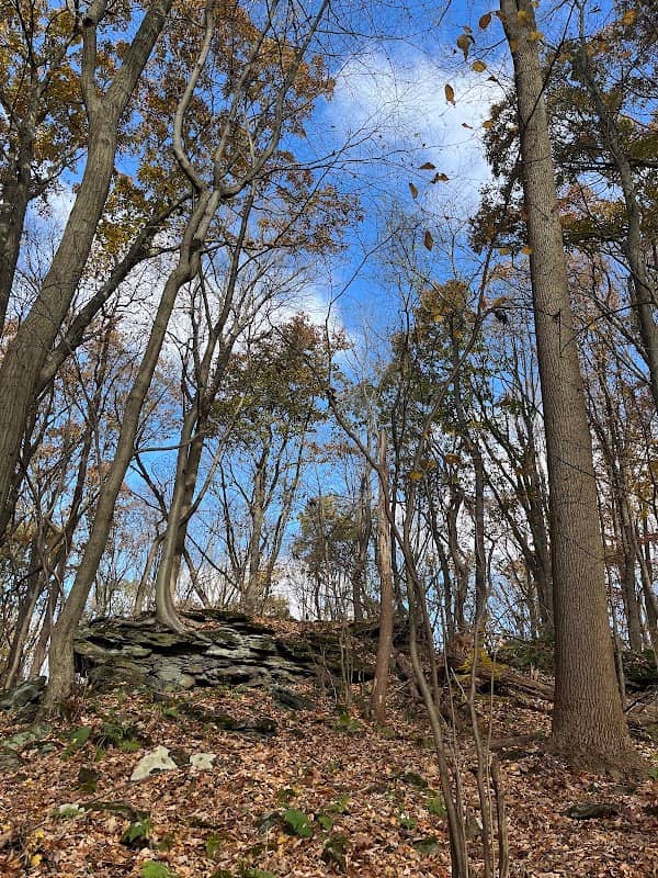 Glacier Ridge Trail - Image 2