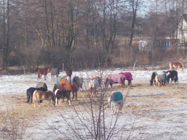 Stajnia Klucz - Image 1