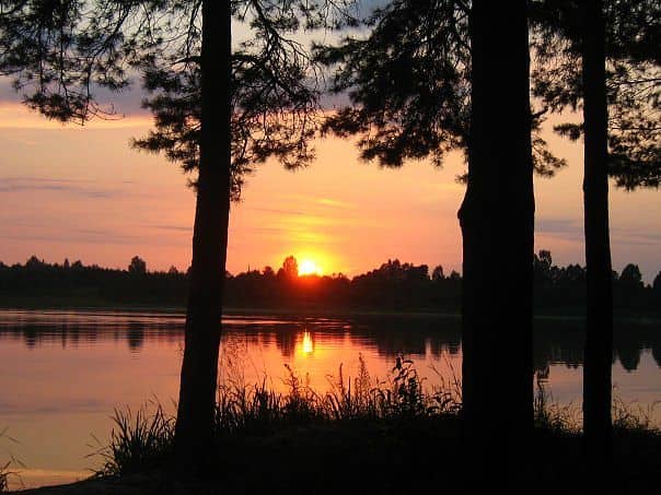 Park Im. Mikhaila Knyazeva - Image 1