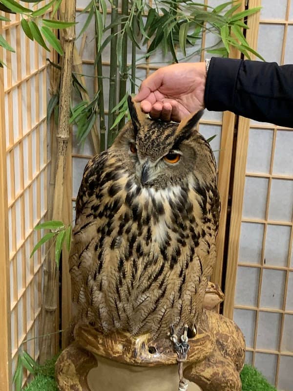 ふろっく 福時計 - Image 1