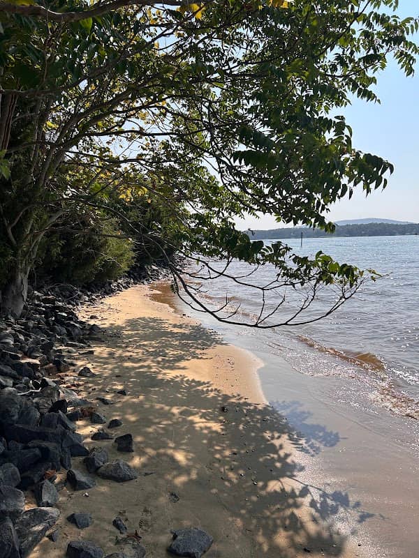 Rabbit Island - Image 1