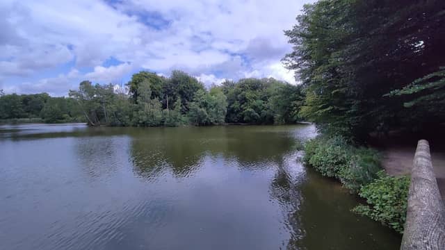 Burg Naturpark Bagno - Image 1