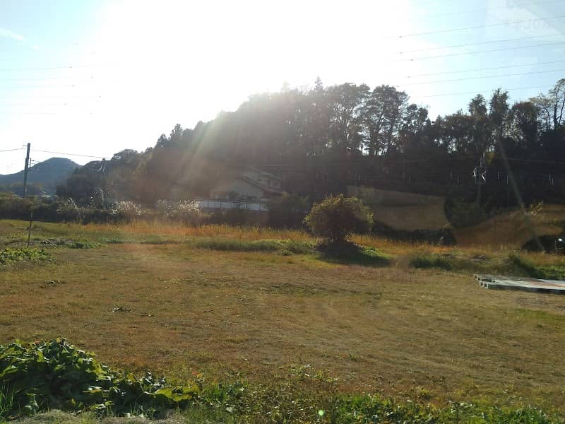 Shibukawa Shiritsu Kanai Park - Image 2