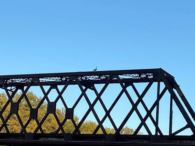 Davis Ferry Park - Image 3