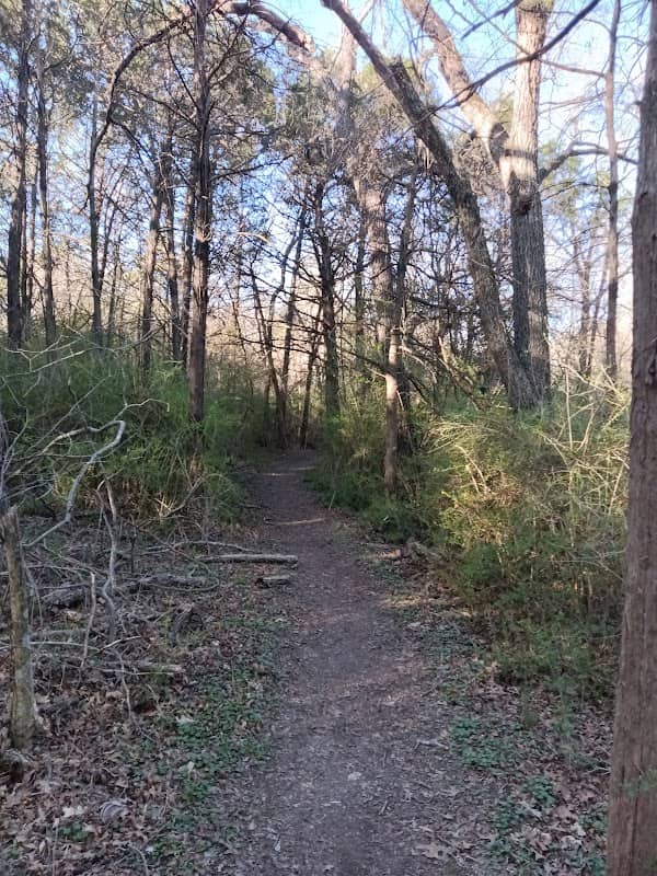 Windmill Hill Preserve Trail - Image 1