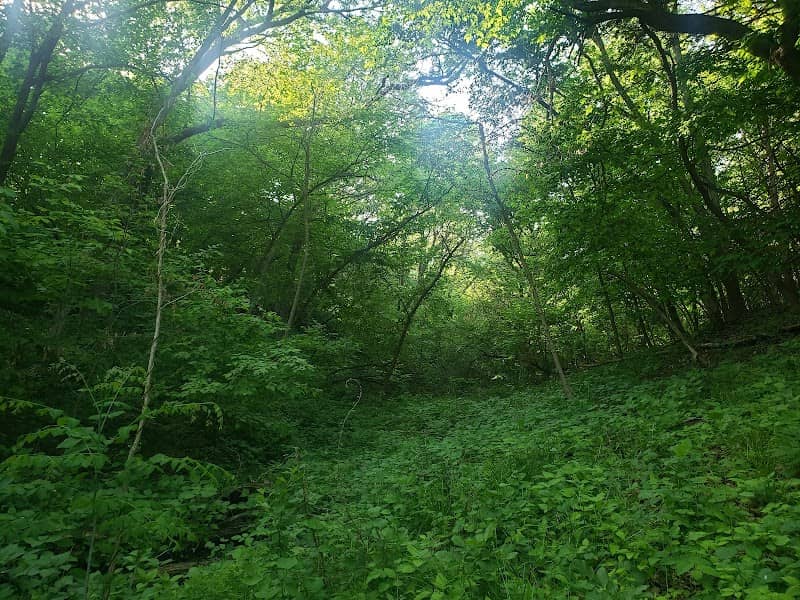 Sawmill Hollow Wildlife Area - Image 1