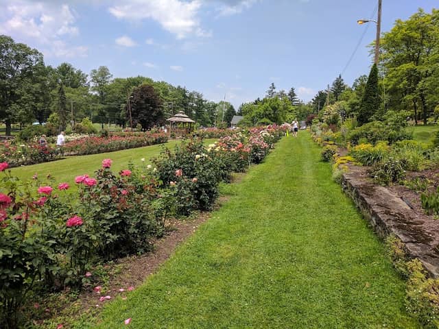 Rose Garden at McKeesport Garden Club - Image 1