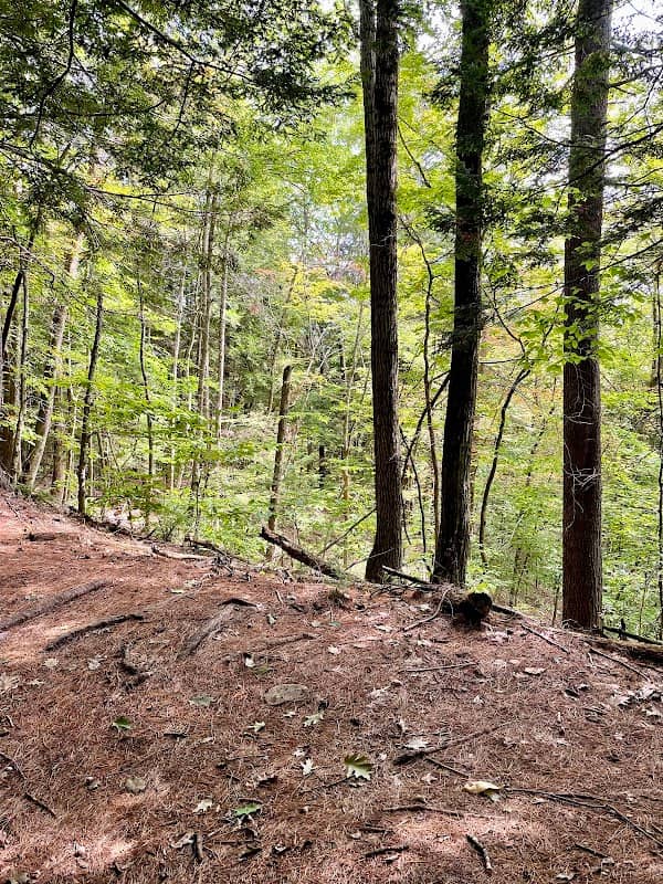 Peck Hill State Forest Bicycle Trail - Image 1