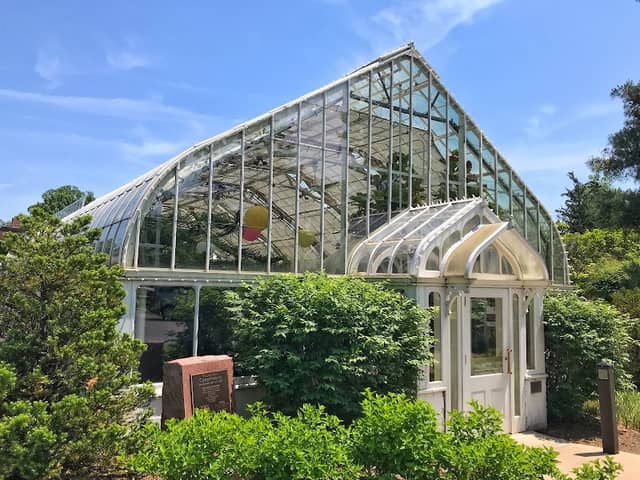 Wilder Park Conservatory - Image 1
