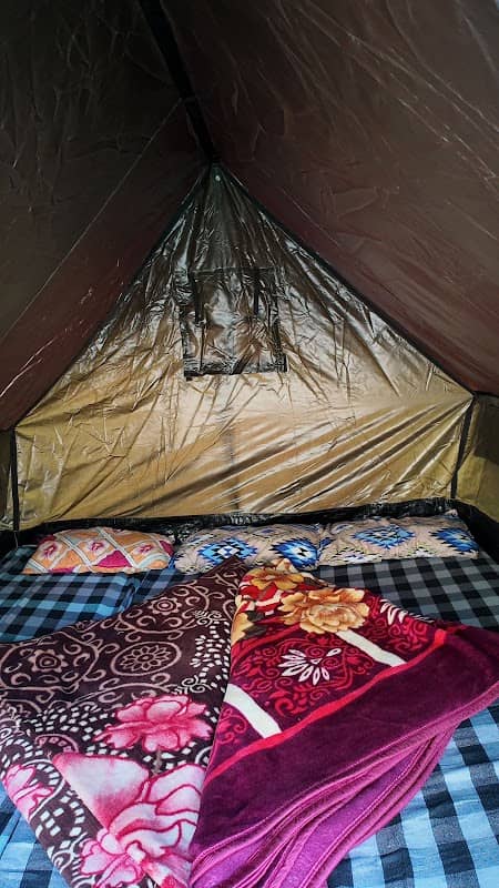 Shabi tour's and travels - Image 1