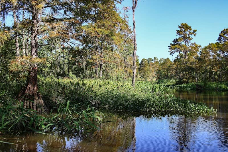 ECO-TOURS OF SOUTH MISSISSIPPI - Image 1