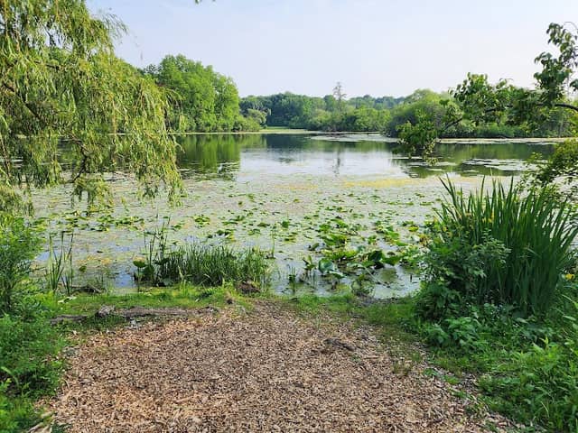 Mallard Lake - Image 1