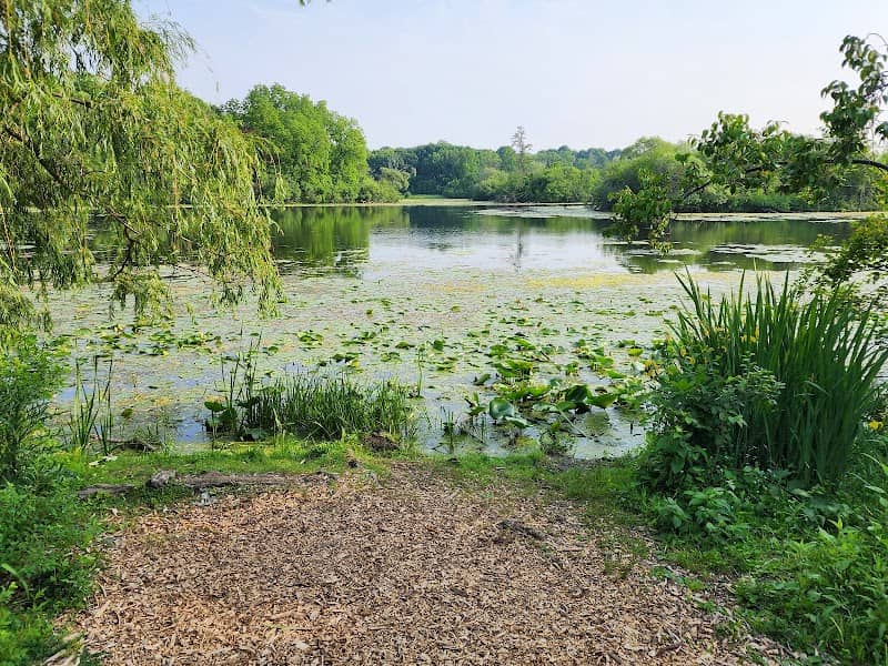 Mallard Lake - Image 1