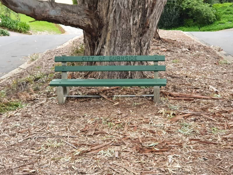 Wattle Park Park Chair - Image 1