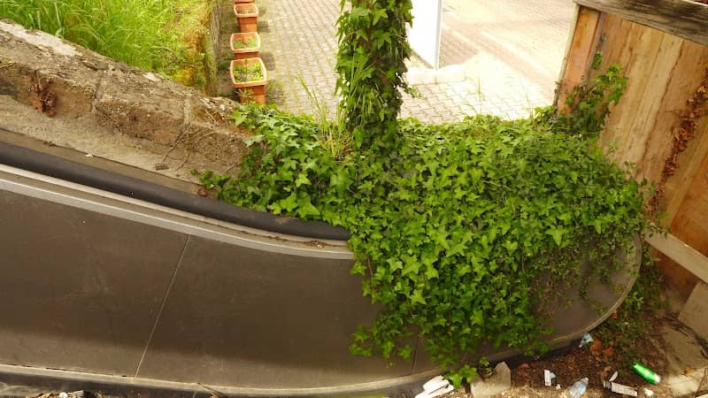 Rolltreppe - Image 2