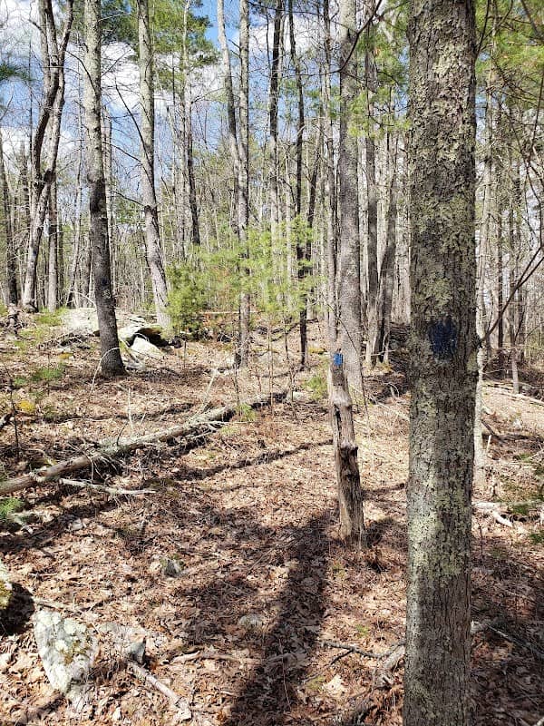 Mason Hill Conservation Area - Image 1