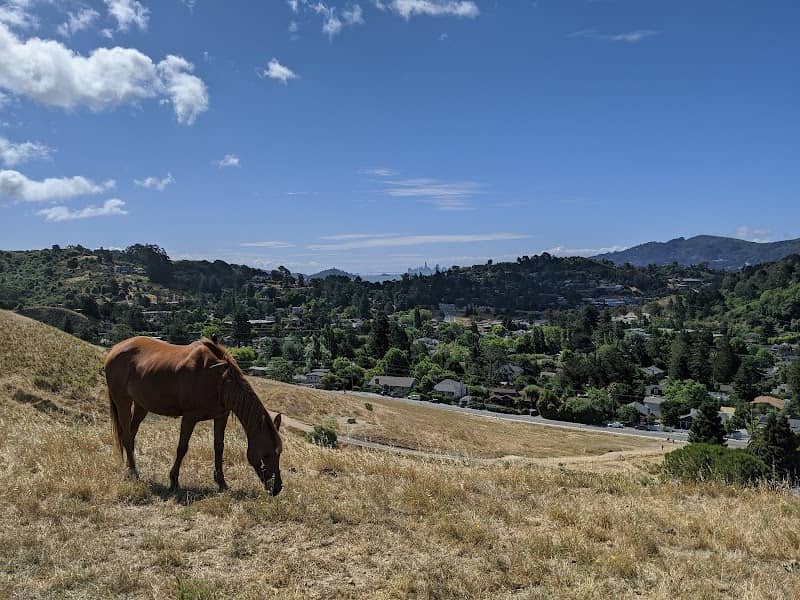 Horse Hill Preserve - Image 1