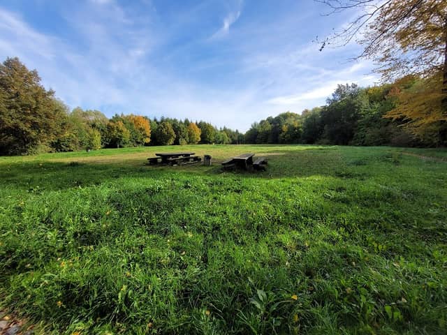 Bürger Park - Image 1
